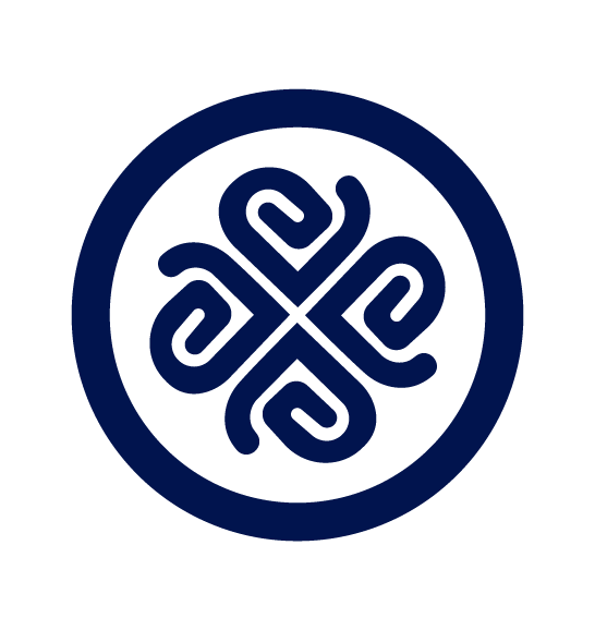 VALIOZ icon, navy