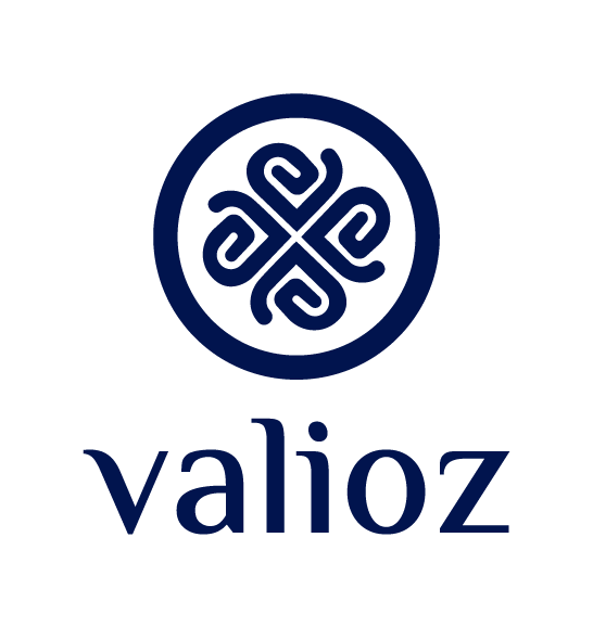 VALIOZ stacked logo, English