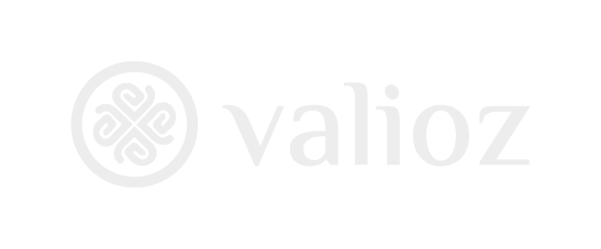 VALIOZ logo, horizontal, white
