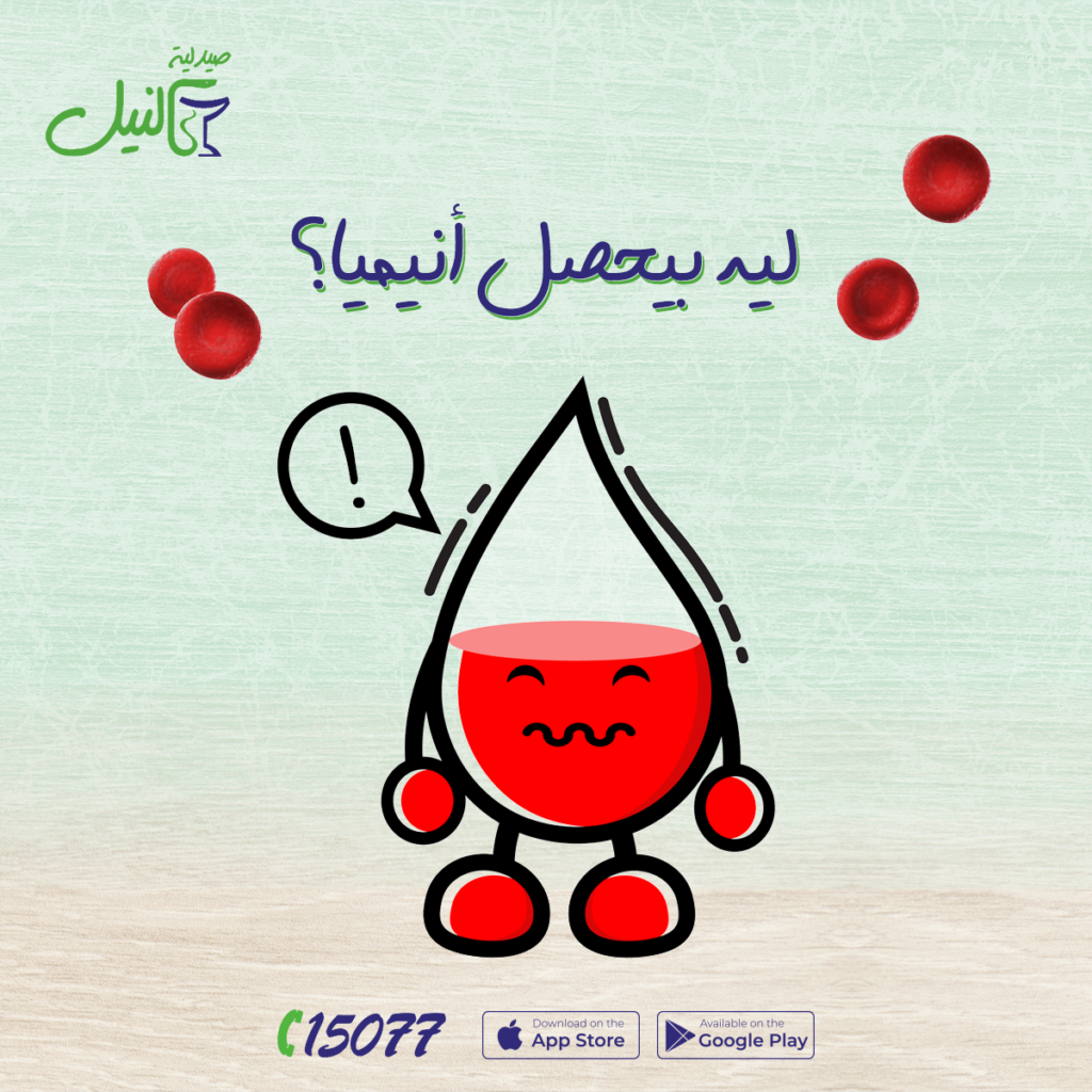 صيدلية النيل — صورة من المشروع